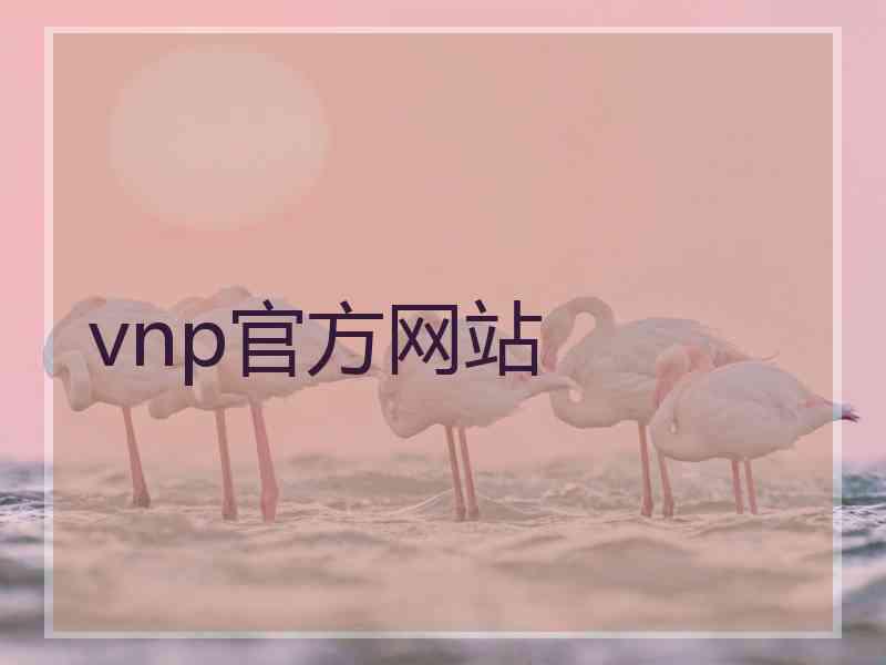 vnp官方网站