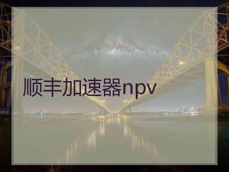 顺丰加速器npv