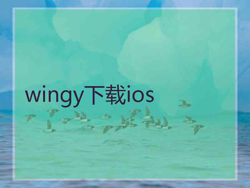 wingy下载ios