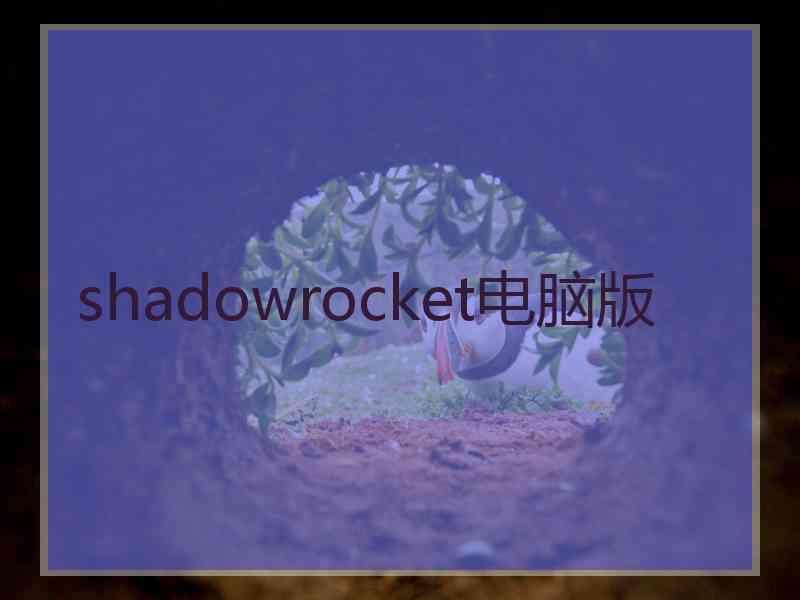 shadowrocket电脑版