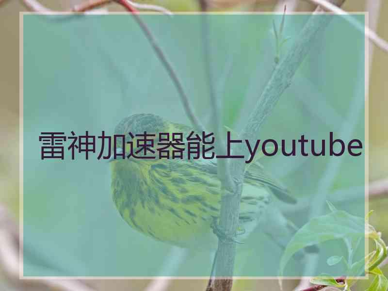 雷神加速器能上youtube