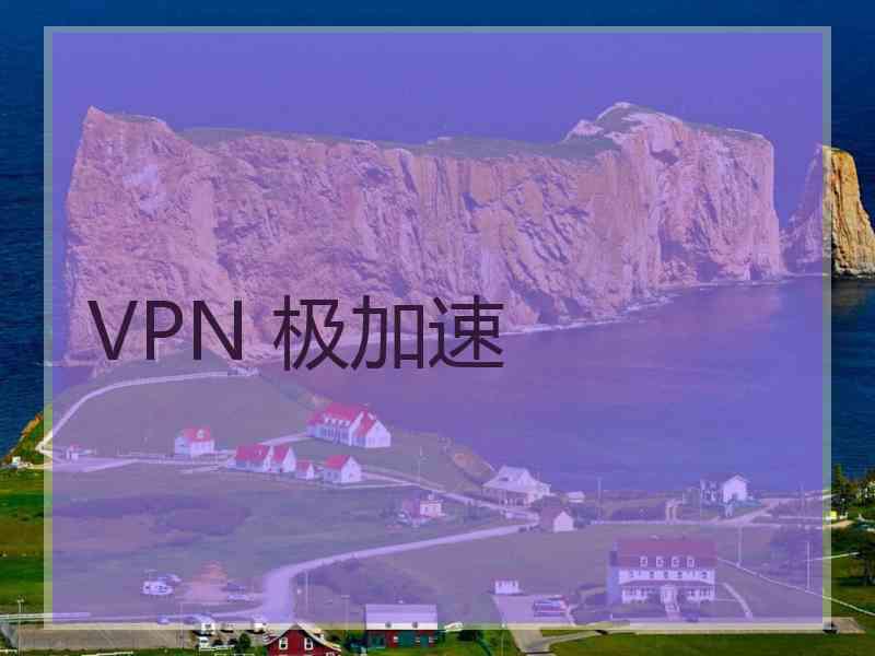 VPN 极加速