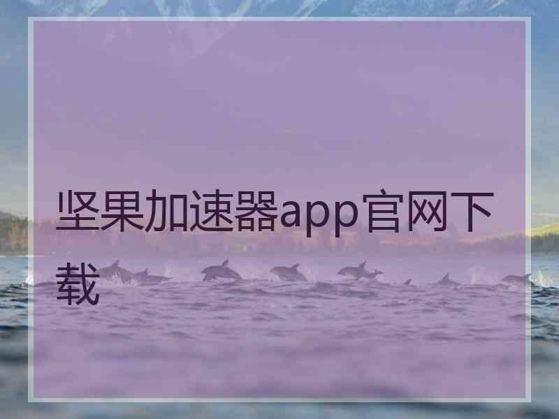 坚果加速器app官网下载