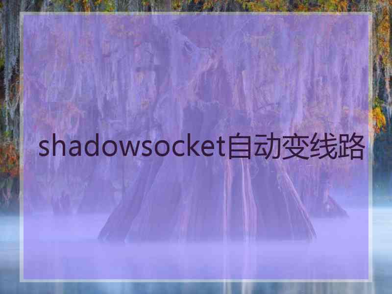 shadowsocket自动变线路