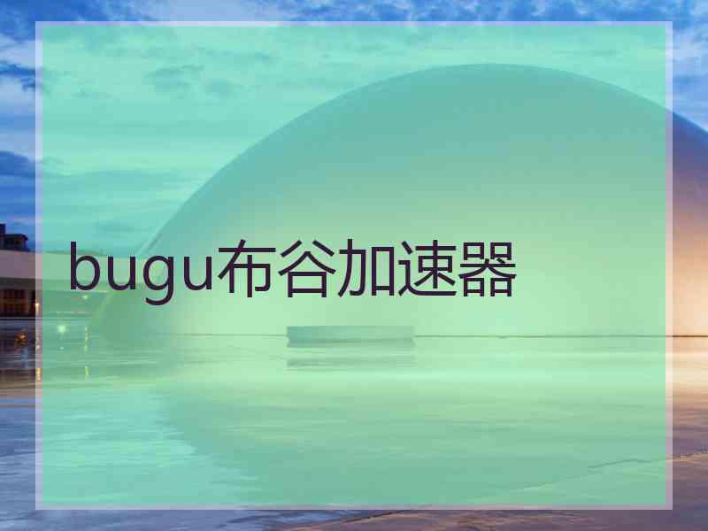 bugu布谷加速器