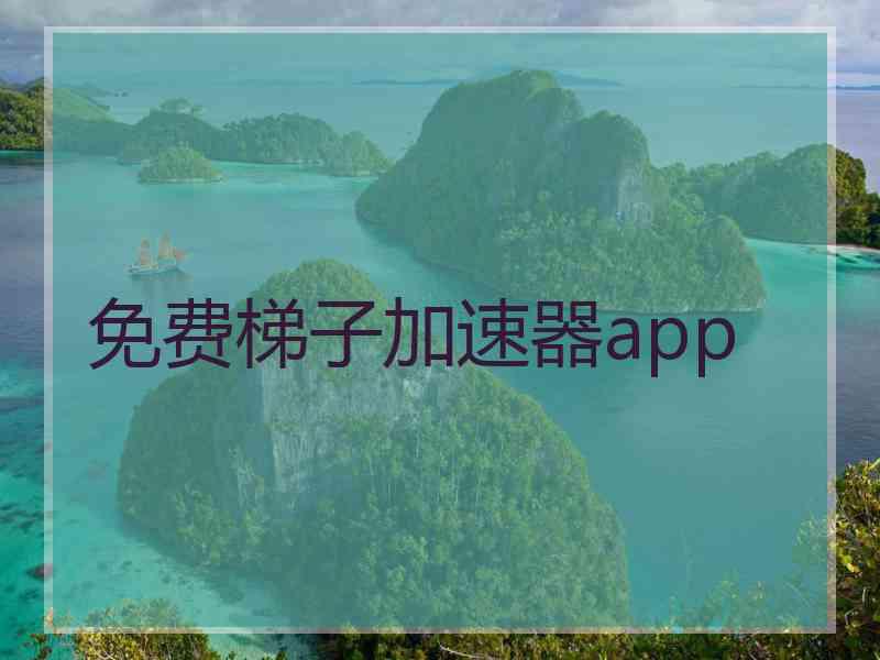 免费梯子加速器app