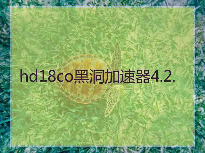 hd18co黑洞加速器4.2.