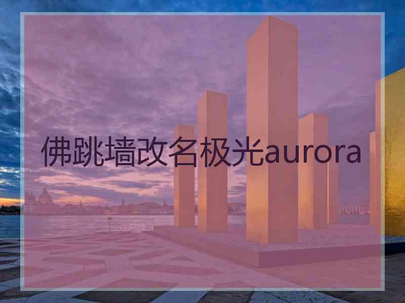 佛跳墙改名极光aurora