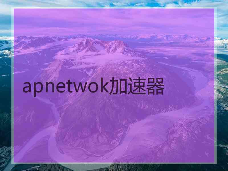 apnetwok加速器