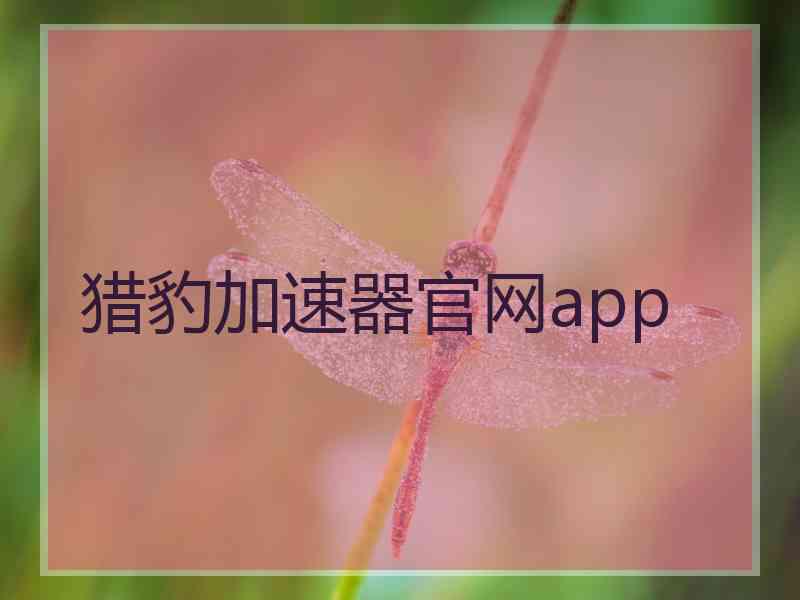 猎豹加速器官网app