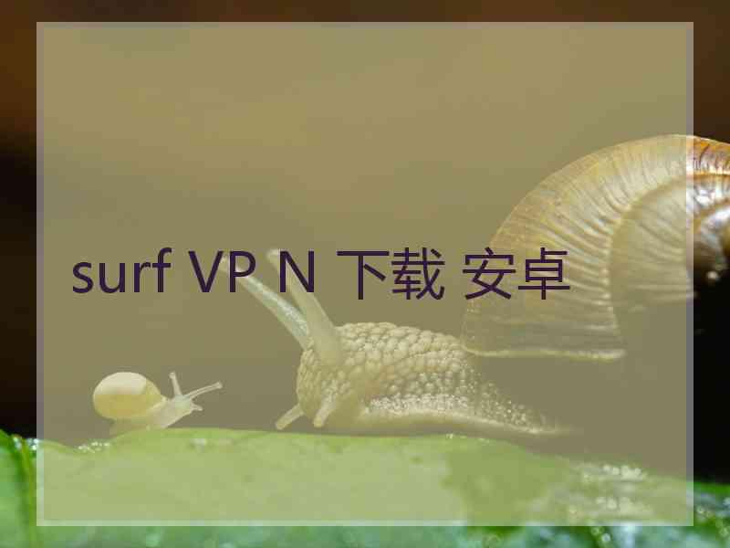 surf VP N 下载 安卓