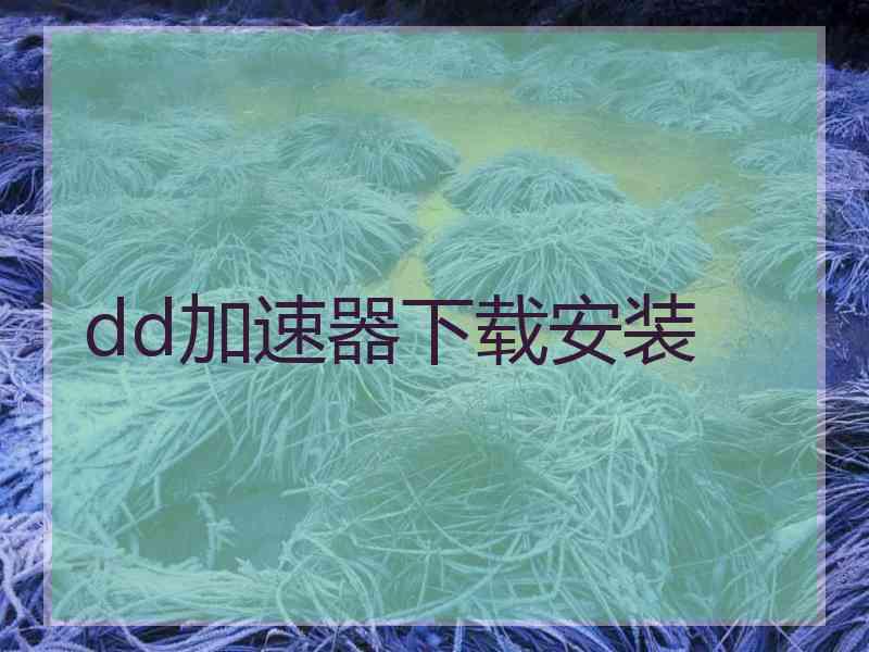 dd加速器下载安装