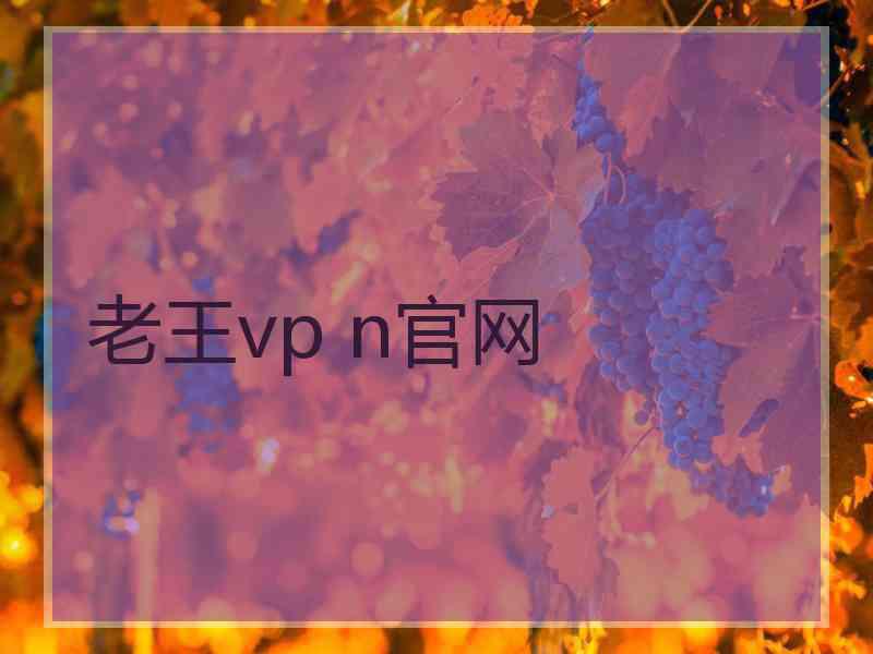 老王vp n官网