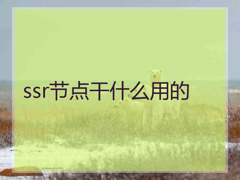 ssr节点干什么用的