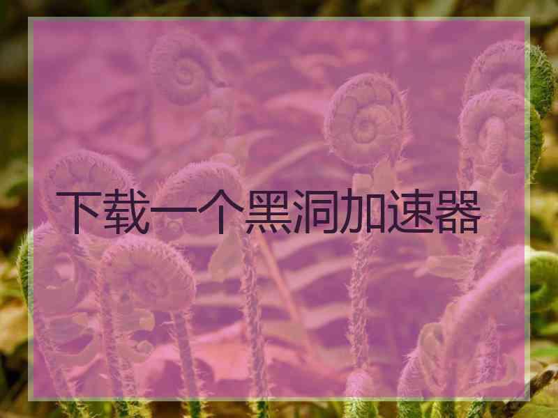 下载一个黑洞加速器