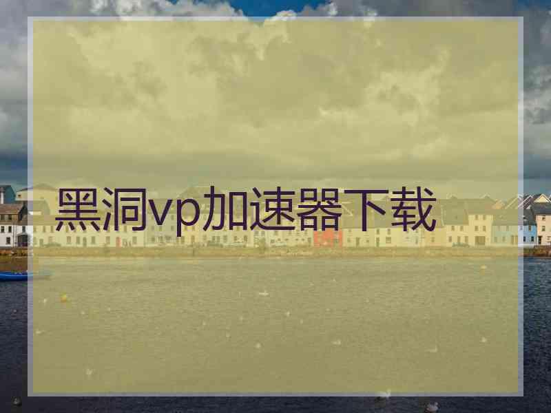 黑洞vp加速器下载