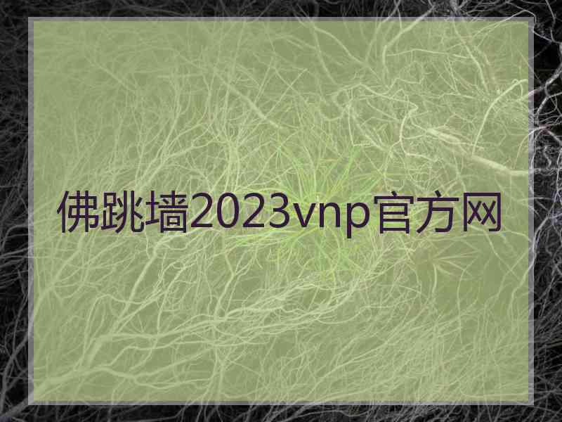 佛跳墙2023vnp官方网