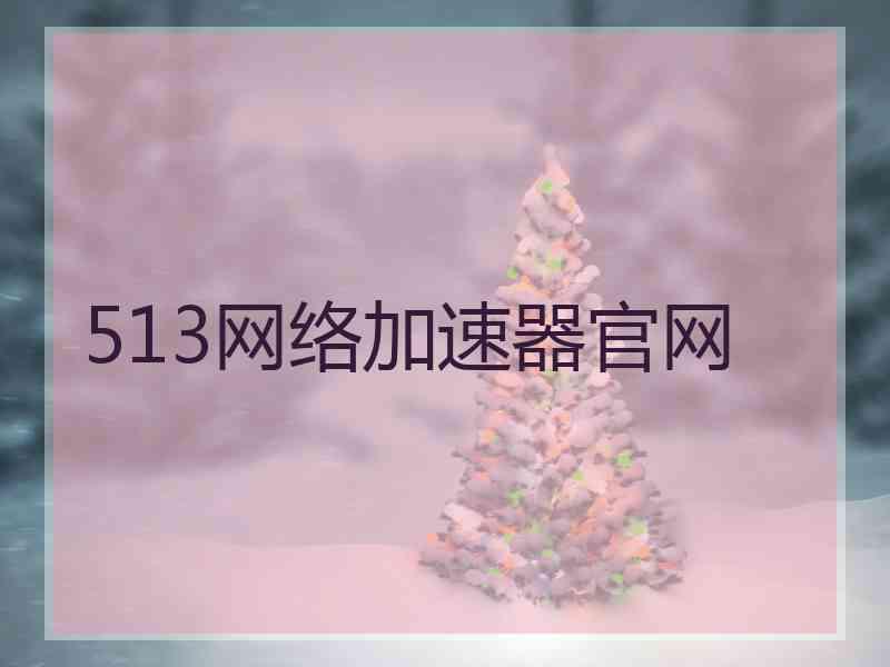 513网络加速器官网