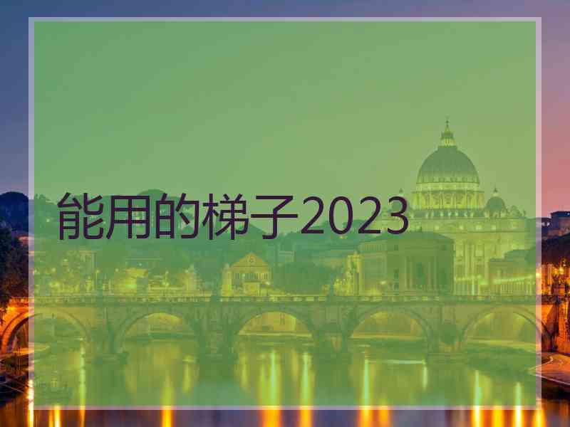 能用的梯子2023