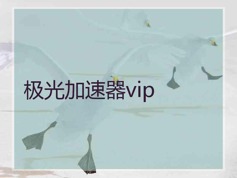 极光加速器vip