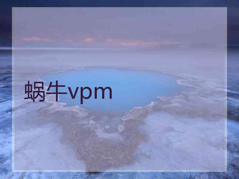 蜗牛vpm