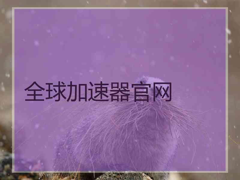 全球加速器官网