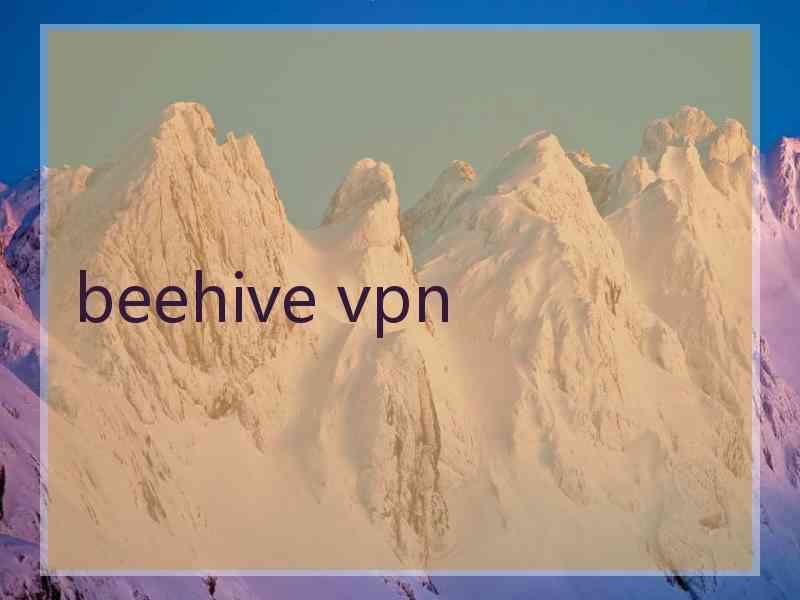 beehive vpn