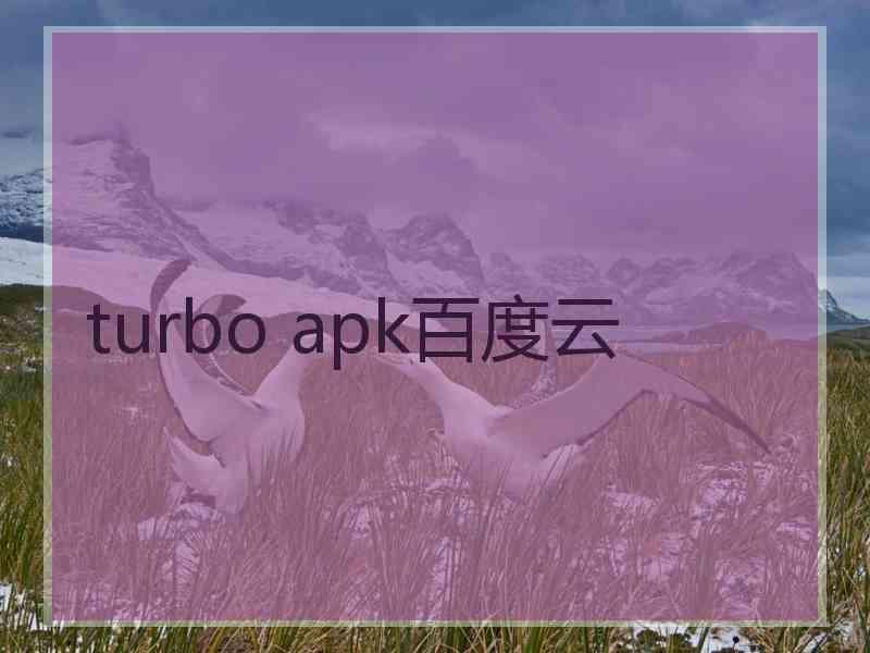 turbo apk百度云