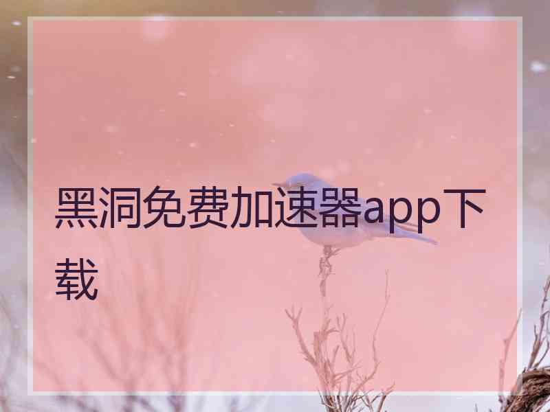 黑洞免费加速器app下载