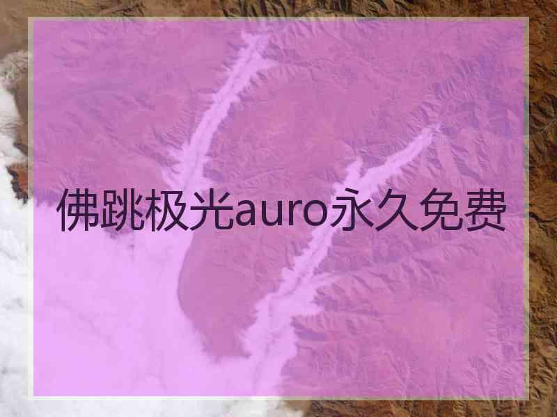 佛跳极光auro永久免费