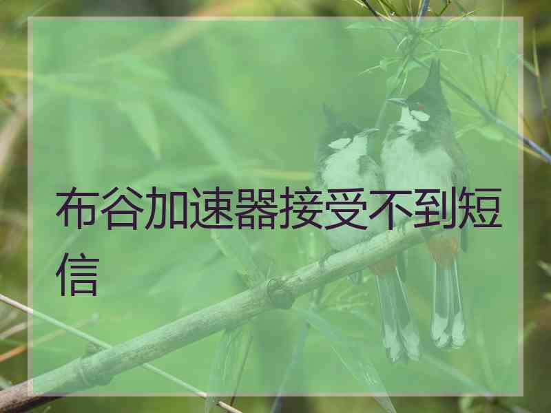 布谷加速器接受不到短信