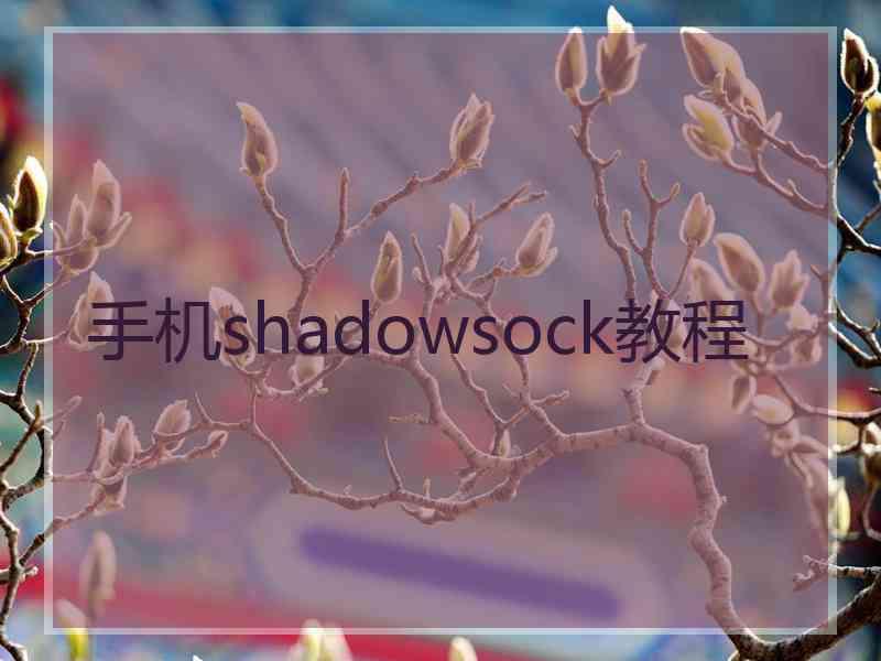 手机shadowsock教程