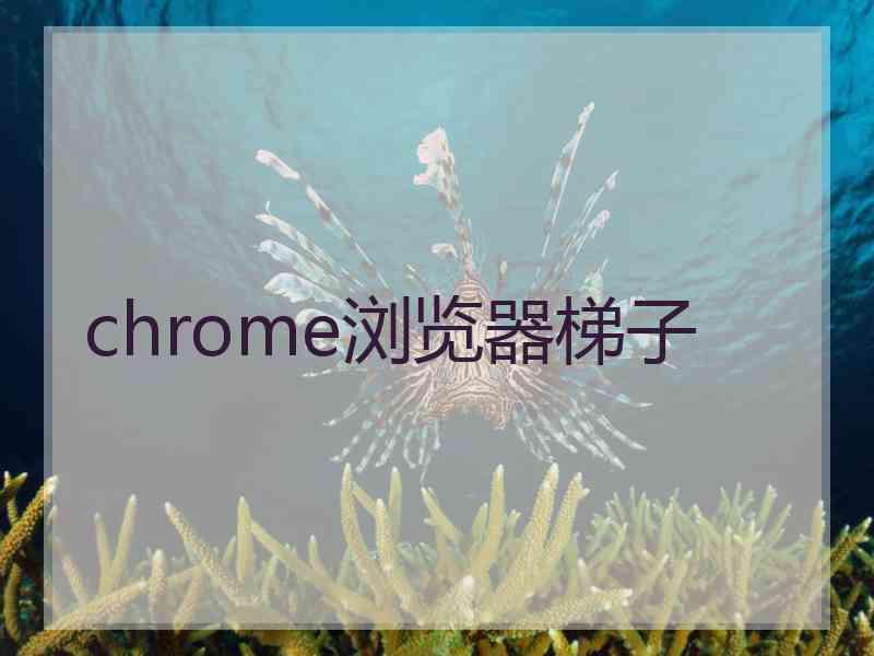 chrome浏览器梯子