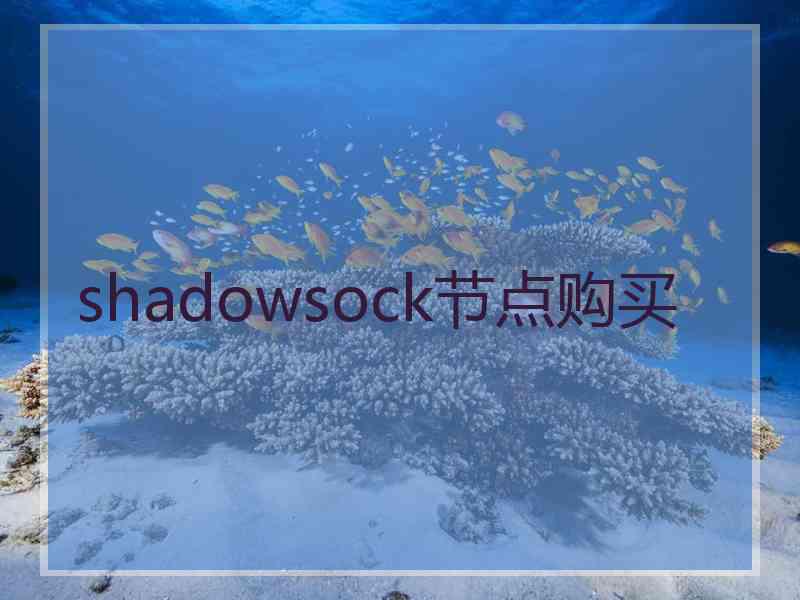 shadowsock节点购买