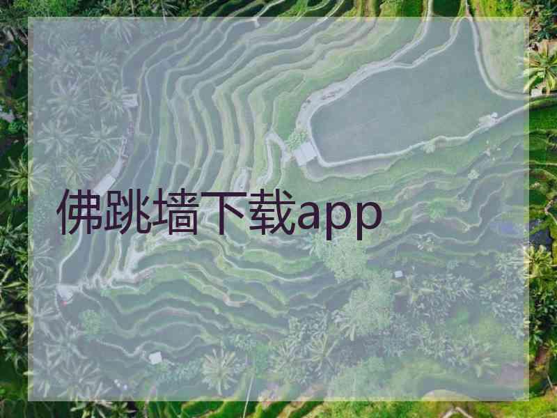 佛跳墙下载app