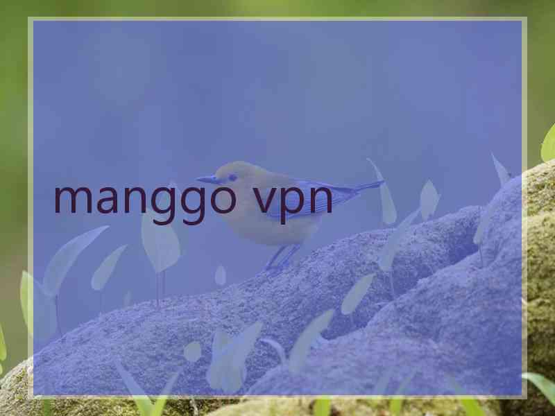 manggo vpn