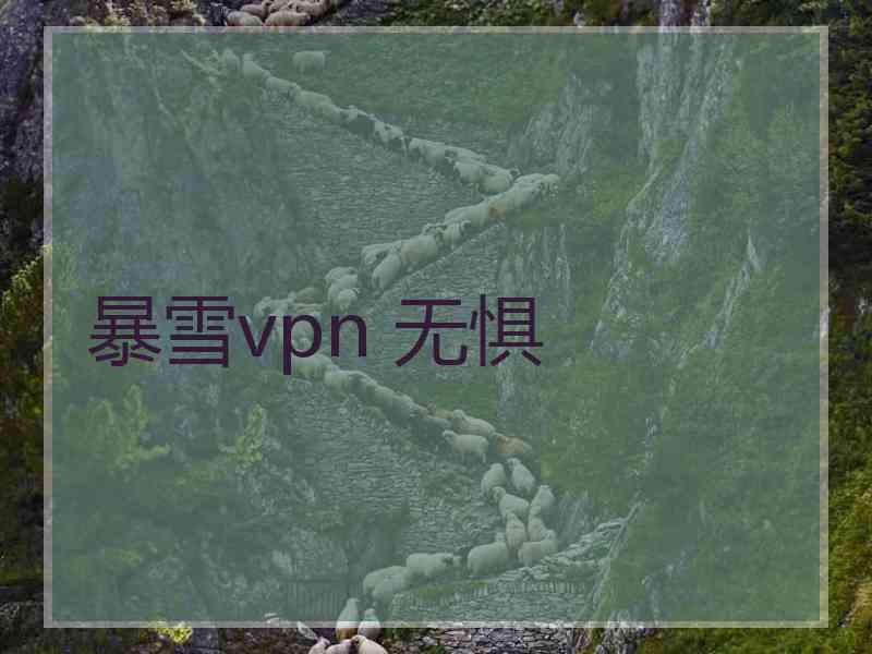 暴雪vpn 无惧