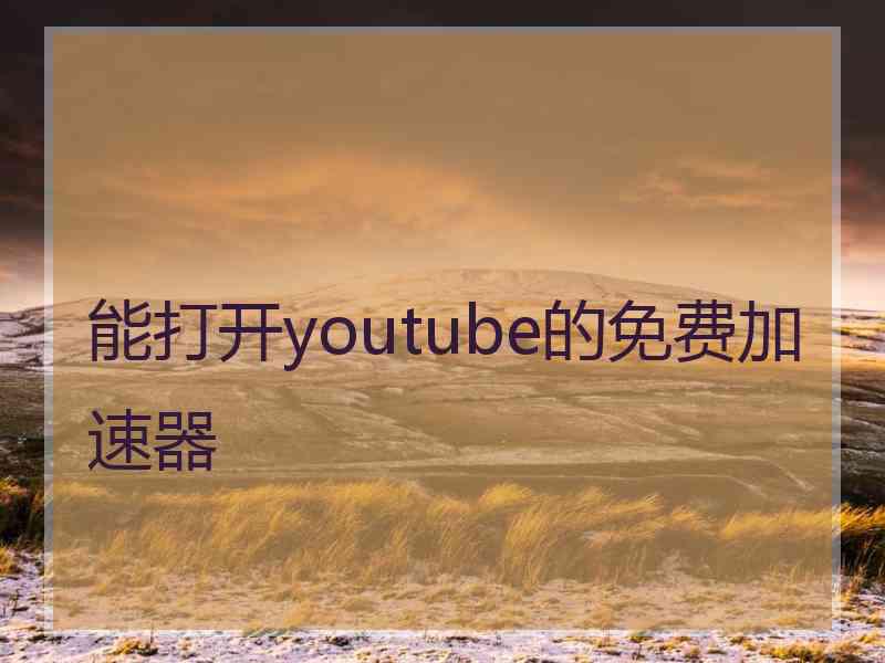 能打开youtube的免费加速器