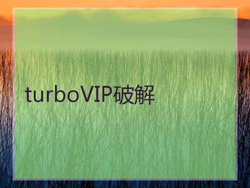 turboVIP破解