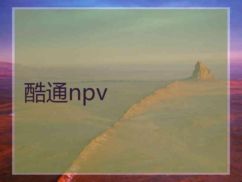 酷通npv