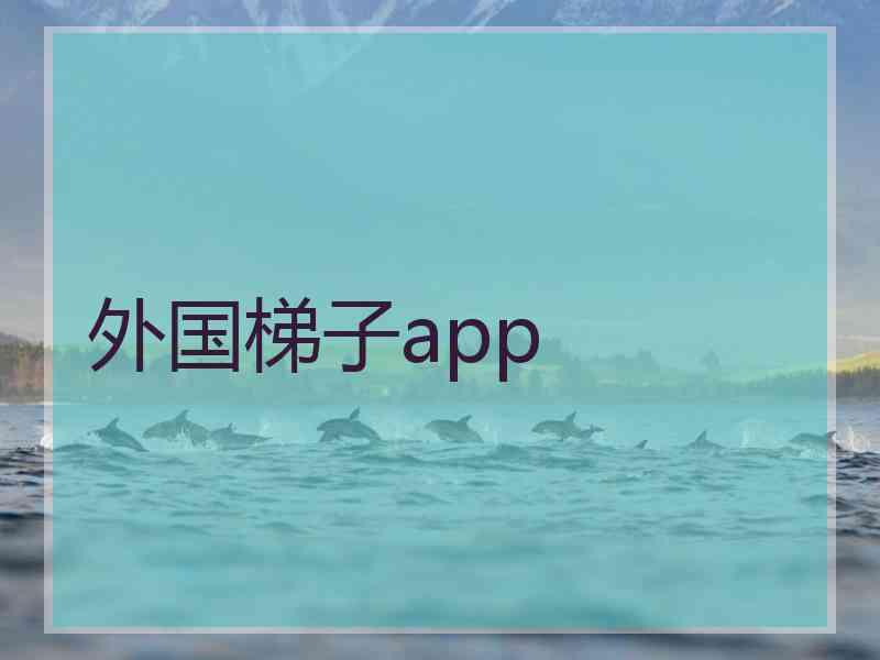 外国梯子app