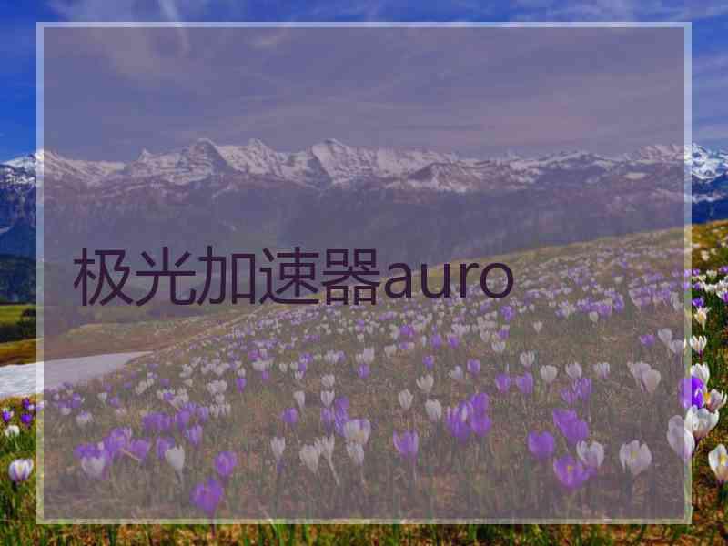 极光加速器auro