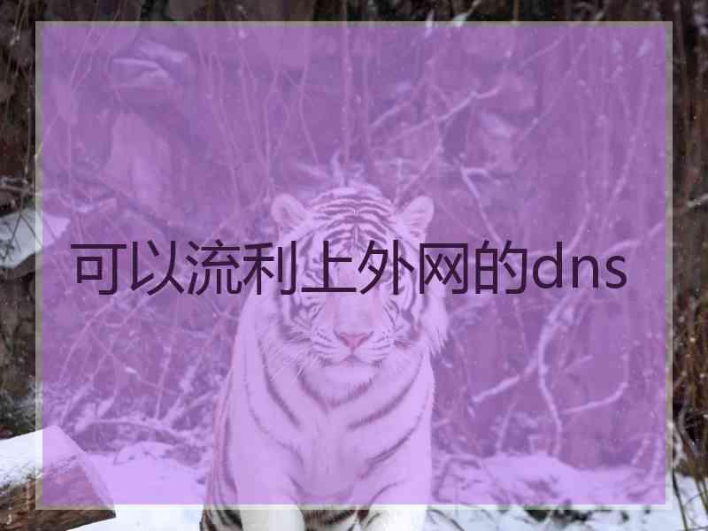 可以流利上外网的dns