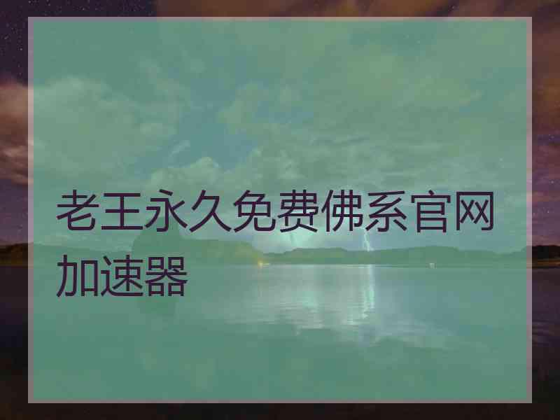 老王永久免费佛系官网加速器