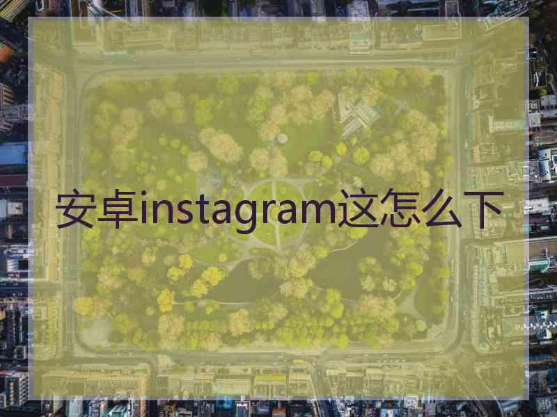 安卓instagram这怎么下