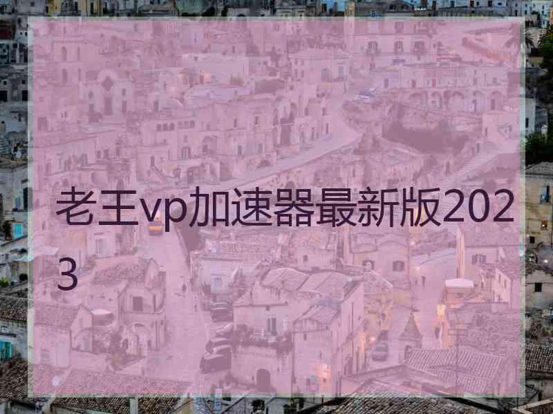 老王vp加速器最新版2023