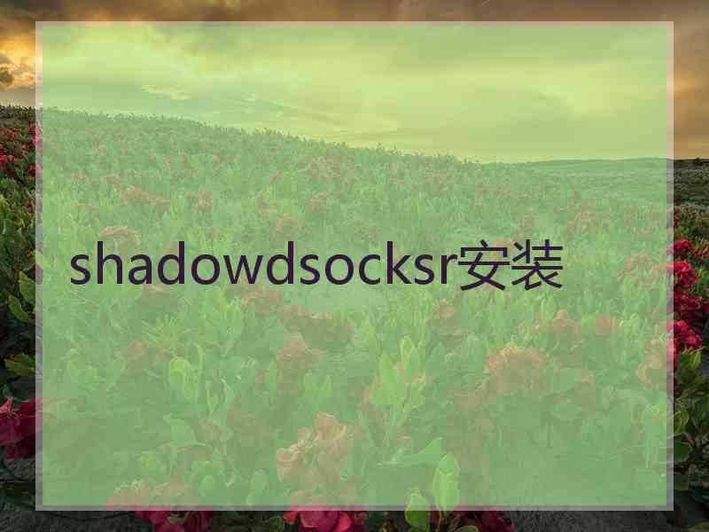 shadowdsocksr安装