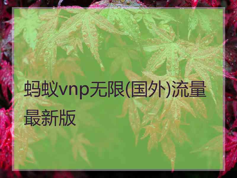 蚂蚁vnp无限(国外)流量最新版