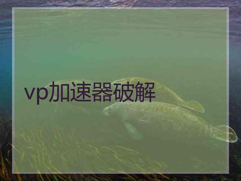 vp加速器破解