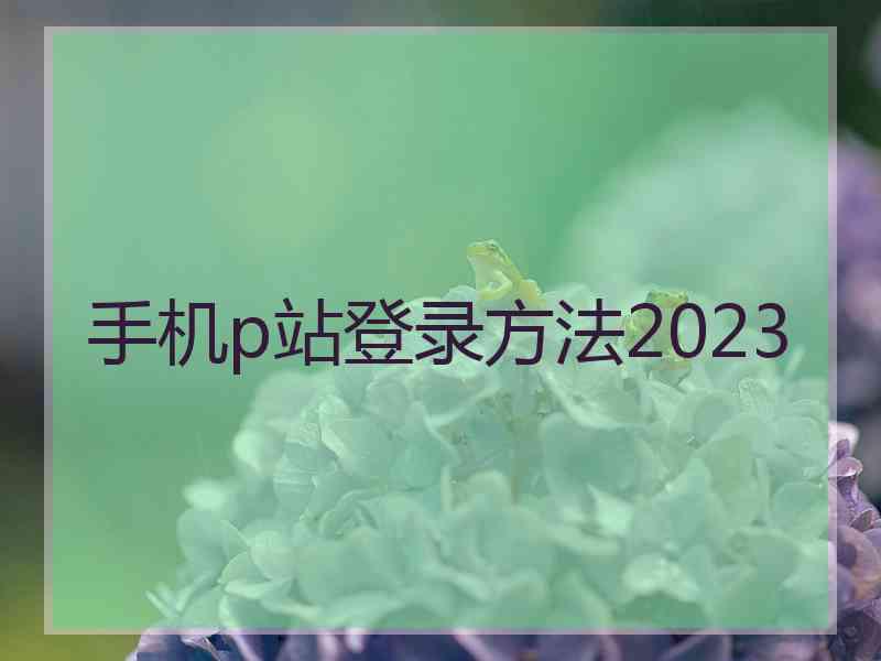 手机p站登录方法2023